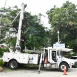 Ordenanza, control y planificación respaldan el título de Guayaquil como Ciudad Árbol del Mundo