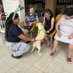 Terapia con Huellas lleva bienestar y compañía a adultos mayores del Hogar Corazón de Jesús