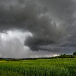La prevención empieza antes de las lluvias: claves para proteger los cultivos frente a El Niño