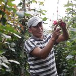 DANIEL NOBOA FORTALECE AL SECTOR PRODUCTIVO CON USD 109 MILLONES EN FINANCIAMIENTO A TRAVÉS DEL CRÉDITO 7×7 DE BANECUADOR